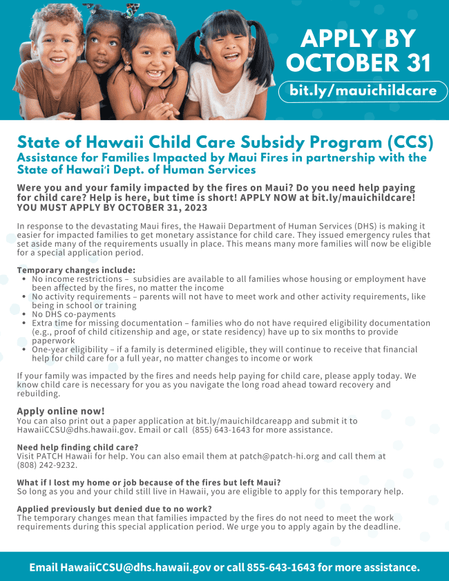 State of Hawaii child care subsidiary informational flyer